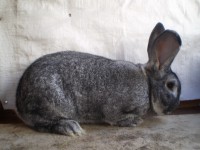 /album/fotogaleria-fotky-cv-petra-mikulu/p1010012-jpg/