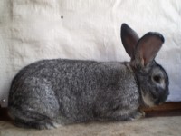 /album/fotogaleria-fotky-cv-petra-mikulu/p1010013-jpg/