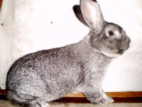 /album/fotogaleria-fotky-cv-petra-mikulu/p1010014-jpg/