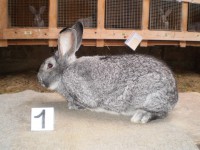 /album/fotogaleria-fotky-cv-petra-mikulu/p1010106-jpg/