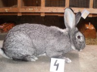 /album/fotogaleria-fotky-cv-petra-mikulu/p1010111-jpg/