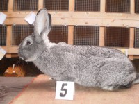 /album/fotogaleria-fotky-cv-petra-mikulu/p1010114-jpg/