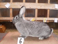 /album/fotogaleria-fotky-cv-petra-mikulu/p1010116-jpg/